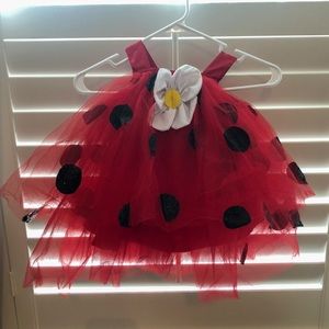 Pottery Barn Kids Ladybug Costume